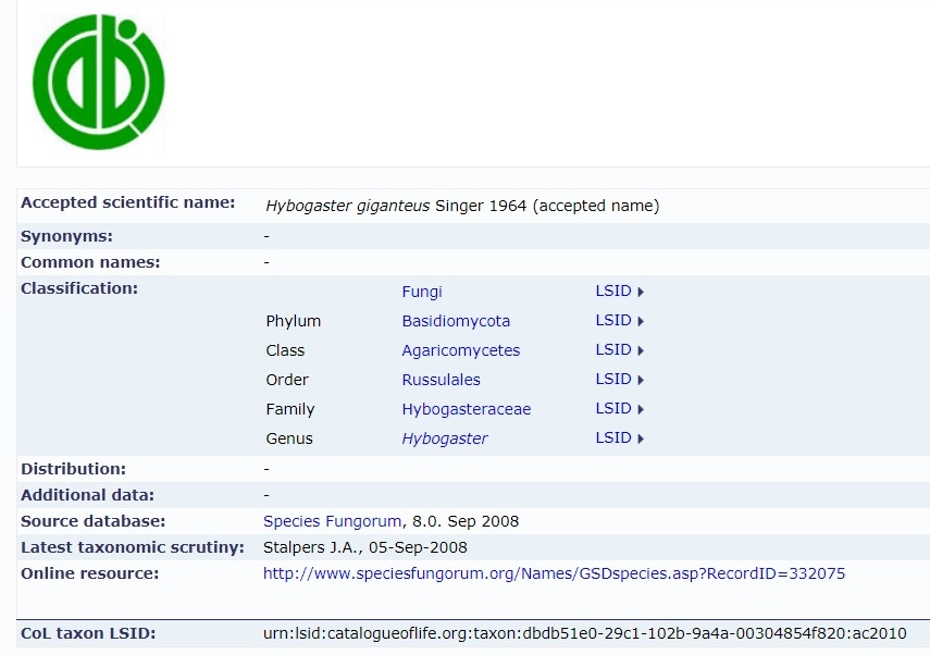 Представитель Семейства Hybogasteraceae